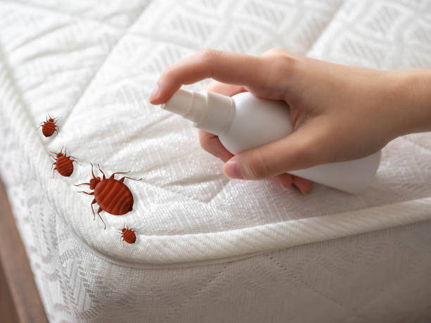 Best Emergency Pest Control  in Lake Ssota, WI