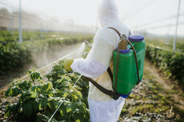 Best Insect Control  in Lake Ssota, WI